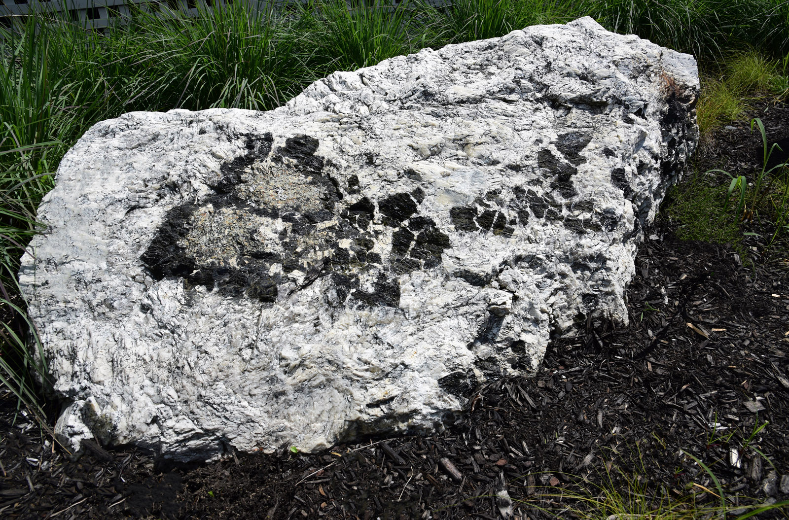 pegmatite specimen rock garden