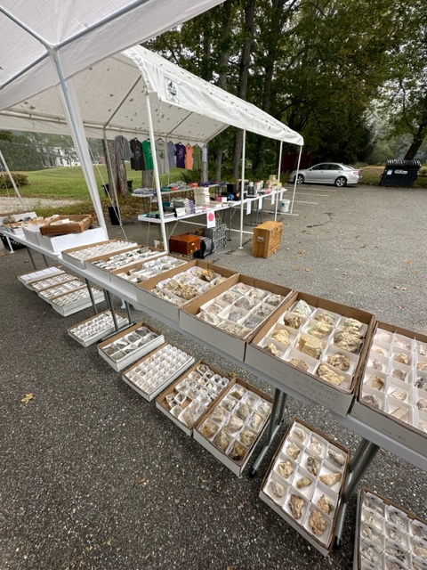 Maine Mineral & Gem Museum